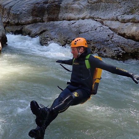 L' Oliveraie De Plerimond Aups Kültér fotó