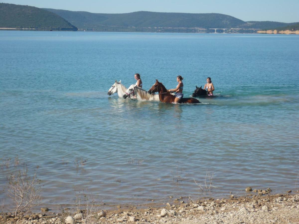 L' Oliveraie De Plerimond Aups Kültér fotó